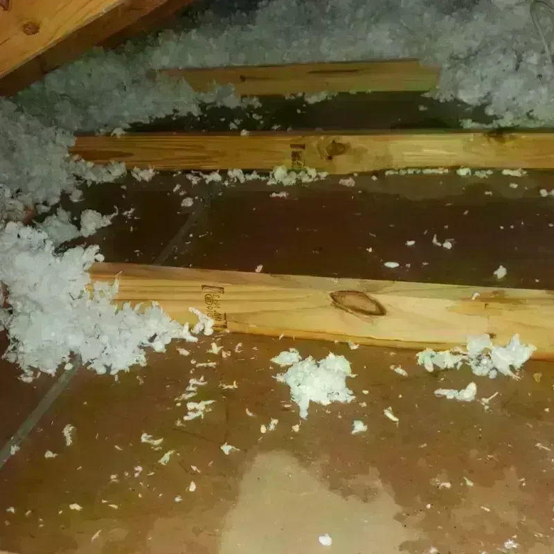 Attic Water Damage in Shrewsbury, MO