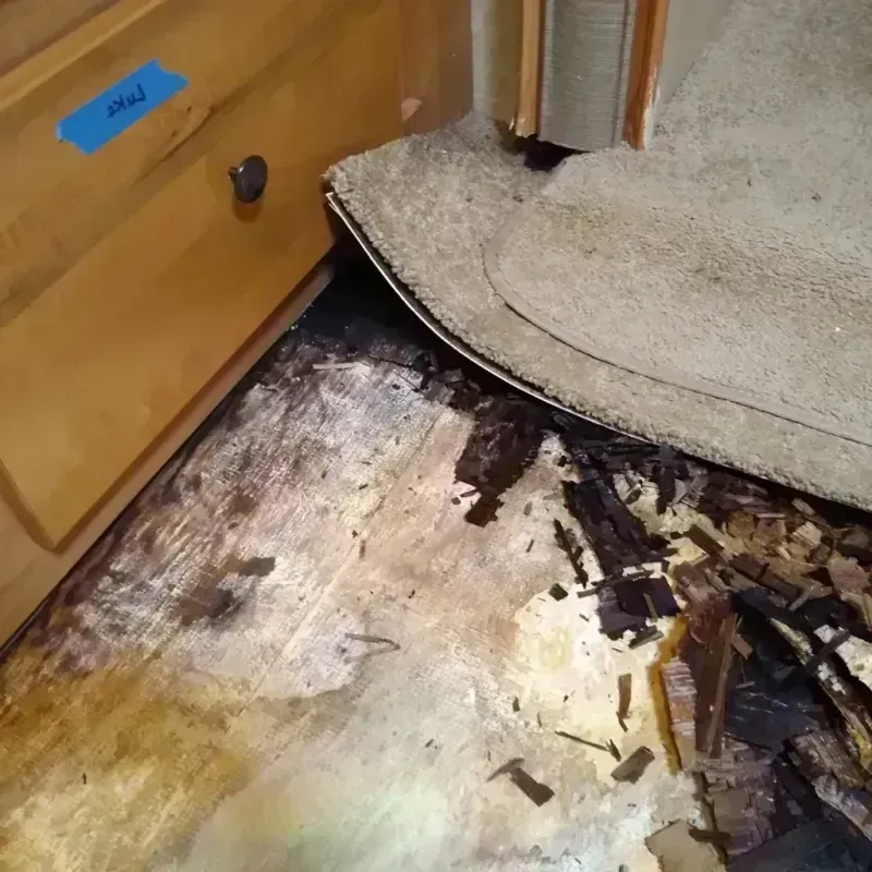 Best Wood Floor Water Damage Service in Shrewsbury, MO